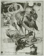 Psychodelic transformation into a bird. 1994, etching, 'Laboratorium Dr.M' series, Plate 4, 19 by 25 cm. $200
